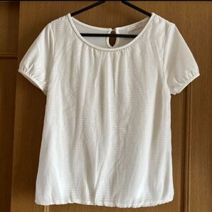 any SiS 綺麗めTシャツ カットソー Tシャツ