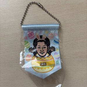 福岡ソフトバンクホークス 若鷹ガチャ イースターver. レア 岩井俊介 ミニタペストリー