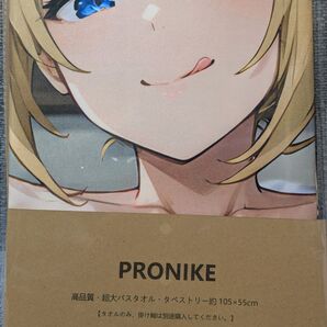 MOEPRO 無職転生 ゼニス・グレイラット シークレットバスタオル