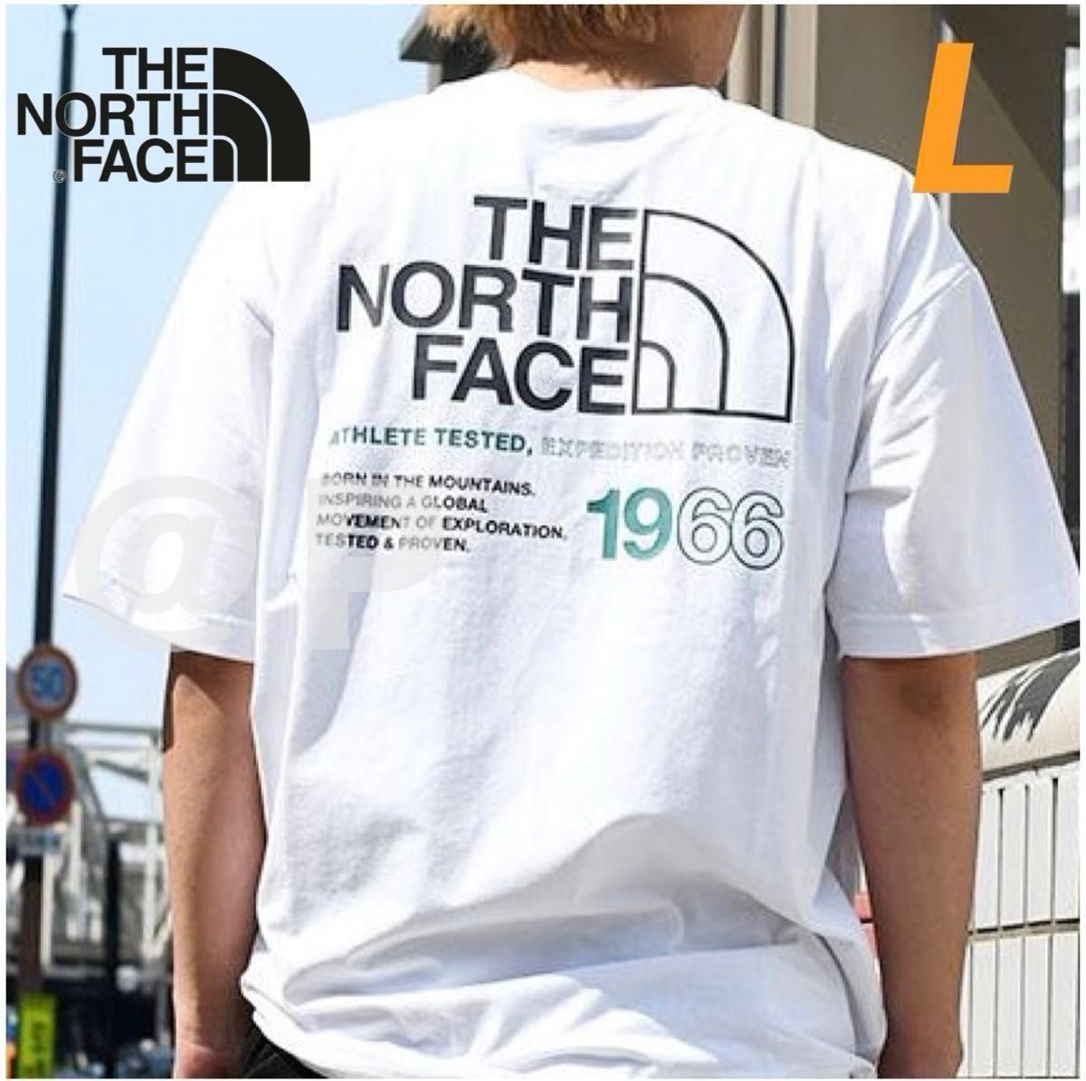 The North Face◆新作 1966 retro ロゴTシャツ 白 送料込 L 新品 ノースフェイス ワイドシルエット Tシャツ 66 Logo 白