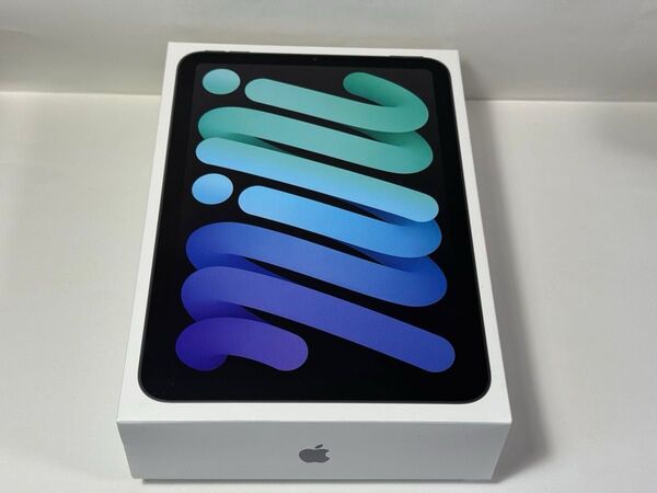 iPad mini A17Pro第7世代Wi-Fi+Cellularモデル256Gスペースグレー +applepencil pro