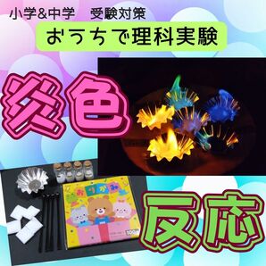 炎色反応 理科実験 夏休み 自由研究 中学受験