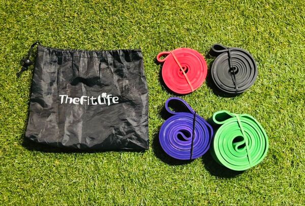 4本セットTheFitLife トレーニングチューブ 筋トレチューブ懸垂チューブ
