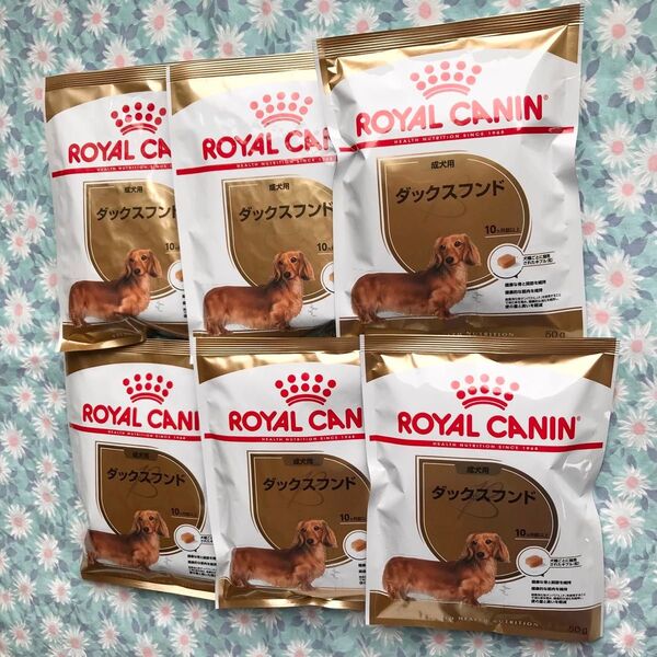 ロイヤルカナン ダックスフンド 成犬用 300g 50g×6袋 ドッグフード ドライ ROYAL CANIN お試し