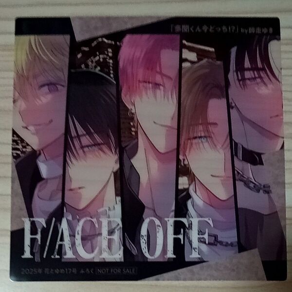 多聞くん今どっち!? 師走ゆき F/ACE OFF CDジャケット風 クリアカード 花とゆめ 2025年 17号 ふろく 付録