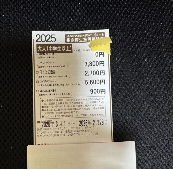 ナガシマスパーランド 割引券 2枚セット