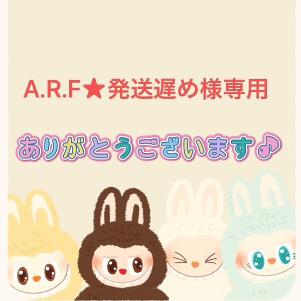 【A.R.F★発送遅め様】まとめ