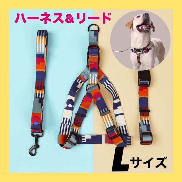 Lサイズ 犬用 ハーネス カラフル 首輪 リード 小型犬 おしゃれ 可愛い 人気 散歩 3点セット