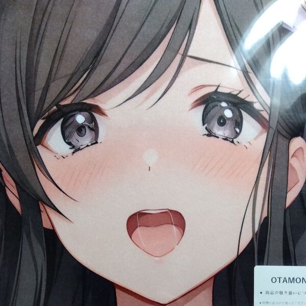 青柳椿調 OTAMONO シークレット版 超大バスタオル 毛布 タペストリー 100x50cm