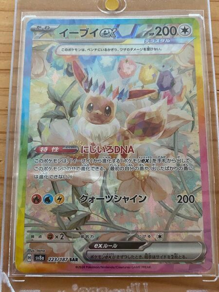 ポケモンカード テラスタルフェスex イーブイex SAR
