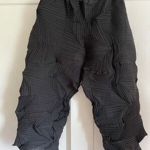 新品 3Dプリーツパンツ F