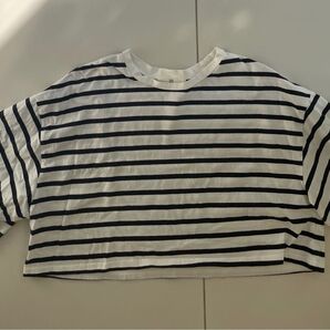 r.p.s ボーダートップス クロップド丈