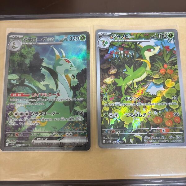 ポケモンカード ブラックボルト ジャローダex SARとジャノビーARセット