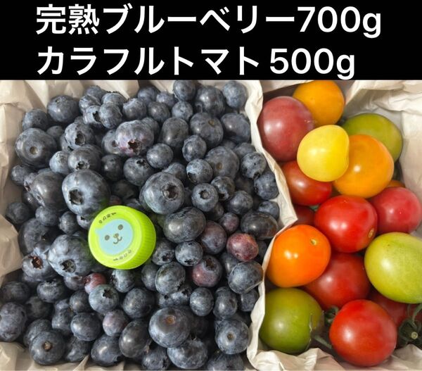 無農薬 有機栽培 完熟ブルーベリー 700g ミニトマト 12種類 500g 食べ比べセット 合計1.2キロ北海道より