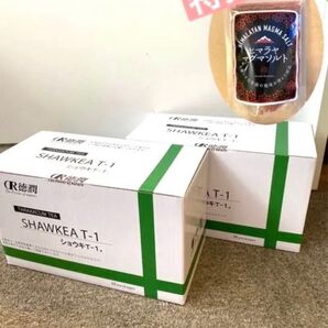 【正規品】タンポポ茶 ショウキT-1エキス 2箱セット サポート付き