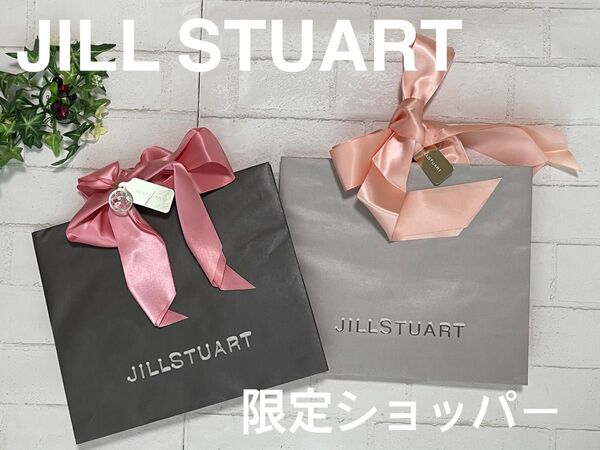 JILL STUART+2枚セット+紙袋+ショッパー+グレー×ピンク+リボン+プレゼント+ギフト+ジルスチュアート