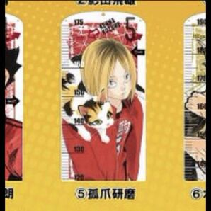 ハイキュー!! アクリル身長計 研磨 ジャンプショップ 受注生産限定 アクリル板 ゴミ捨て場の決戦