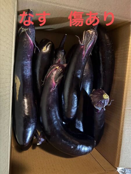 なす 訳あり 傷あり 80サイズ
