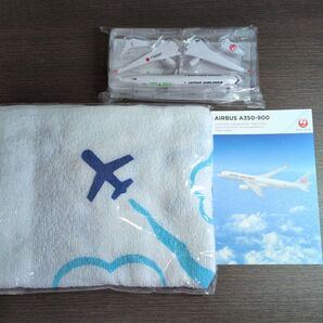 JALエアバス350 宮崎空港ラウンジタオル