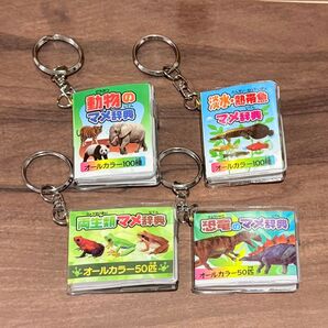 【4つセット】マメ辞典キーホルダー