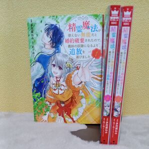 精霊魔法が使えない無能だと婚約破棄されたので、義妹の奴隷になるより追放を選びました 1