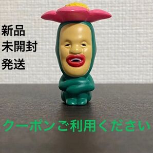 【新品未開封】こびとづかん リトルハナガシラ ソフビ フィギュア 2点以上の購入は値引きします^ ^