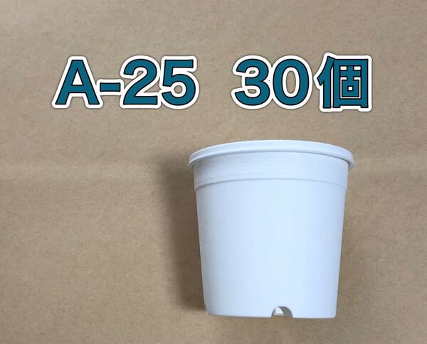 《A-25》 白 30個 プラ鉢 植木鉢 スリット鉢 多肉植物