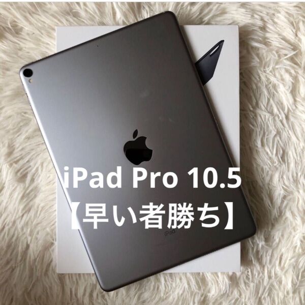 【完動品】iPad Pro 10.5 256GB 【すぐ発送】 Apple Wi-Fi A スペースグレイ Pro 2017
