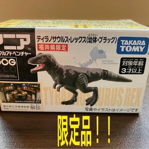 アニア ティラノサウルス・レックス 幼体 ブラック 福井県限定 TAKARA TOMY