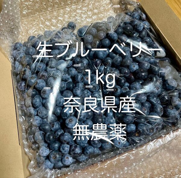 生ブルーベリー 1kg 奈良県産 無農薬 常温発送 ブルーベリー 採れたて