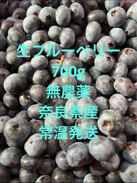 生ブルーベリー 700g 無農薬 奈良県産 常温発送 ブルーベリー