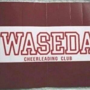 早稲田大学野球 ハリセン3個 六大学野球 匿名配送します