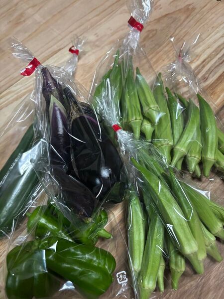 新鮮な野菜セット オクラ・ナス・ピーマン・キュウリの野菜詰め合わせセット