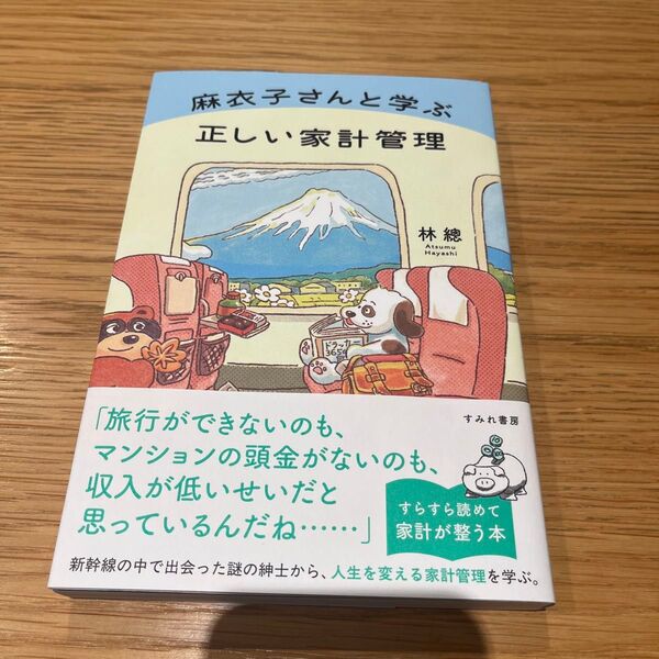 麻衣子さんと学ぶ正しい家計管理 林總/著