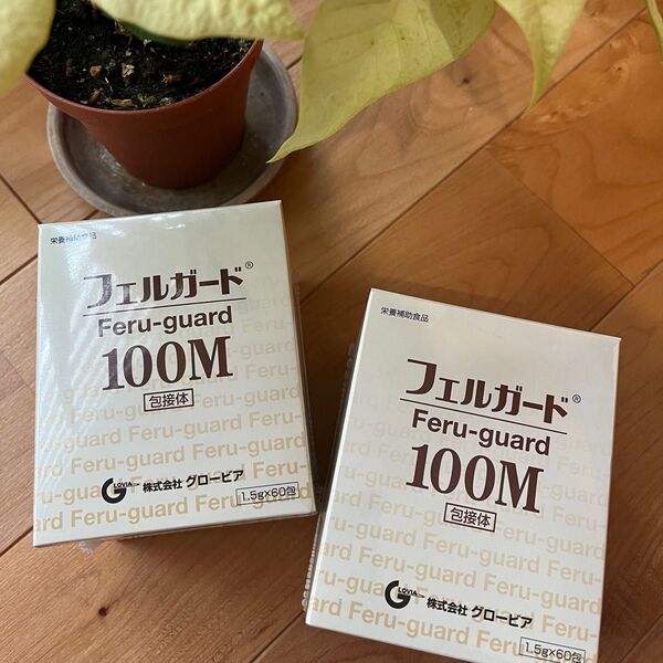 フェルガード100M 60包 2箱セット
