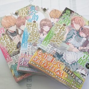 成り行きで婚約を申し込んだ弱気貧乏令嬢ですが、何故か次期公爵様に溺愛されて囚われています@COMIC 既刊全巻