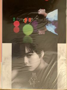 欅坂46 平手友梨奈 ポスター CD購入特典 アンビバレント 黒い羊