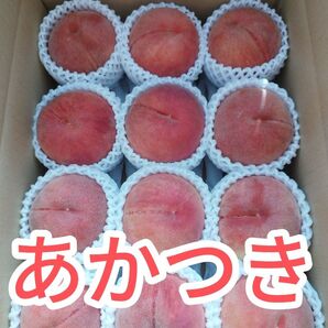 桃(あかつき)約2.5kg 10玉前後 農家直送