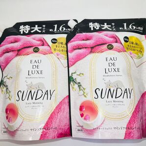 P&G レノア オードリュクス サンデー マインドフルネス 柔軟剤 詰め替え 特大サイズ 600ml × 2個