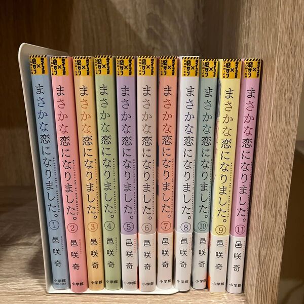 まさかな恋になりました全巻11冊