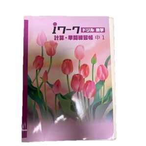 iワーク ドリル 数学 計算・単問練習帳 中1
