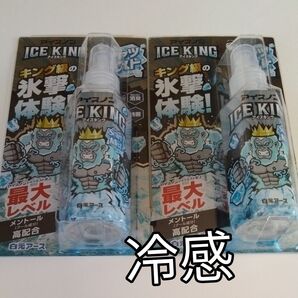 アイスキング 衣類用冷感スプレー2本 シャツミスト 最大レベル メントール高配合 送料込 汗のニオイ消臭 除菌 アイスノン 新品