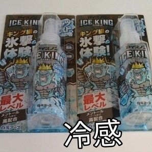 アイスキング 衣類用冷感スプレー2本 シャツミスト 最大レベル メントール高配合 送料込 汗のニオイ消臭 除菌 アイスノン 新品