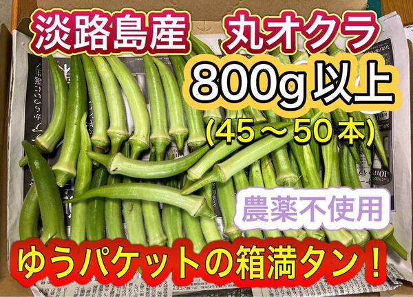 淡路島産 丸オクラ800g以上(45〜50本) 【ゆうパケットの箱満タン!】栽培期間中農薬不使用