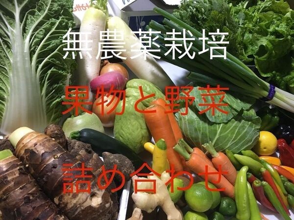 ◎無農薬栽培◎お野菜と果物詰め合わせ◎きゅうり◎かぼちゃ◎オクラ◎じゃがいも◎茄子◎玉ねぎ◎希少黄色スイカ◎ミニトマト◎パッション