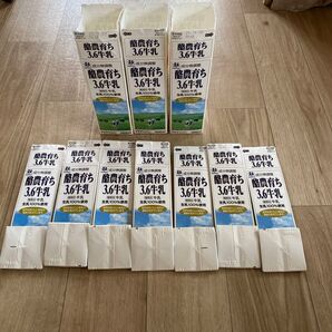 牛乳パック10パック 未解体 折りたたみ