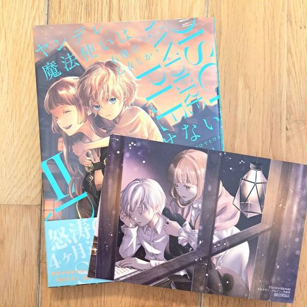 新品シュリンク未開封 ヤンデレ魔法使いは石像の乙女しか愛せない Ⅱ 2巻 セキモリ ツタヤ限定 TSUTAYA限定 イラストカード
