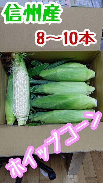 長野県産 ホイップコーン とうもろこし 80サイズ箱 箱込み5㎏以内①