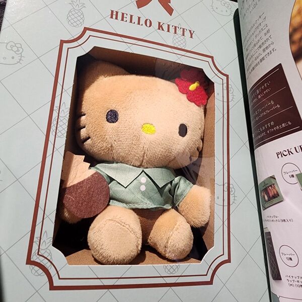 お顔厳選ホノルルクッキーハローキティ日焼けキティ 宝島社パイナップル ぬいぐるみチャームHELLO KITTY サンリオ