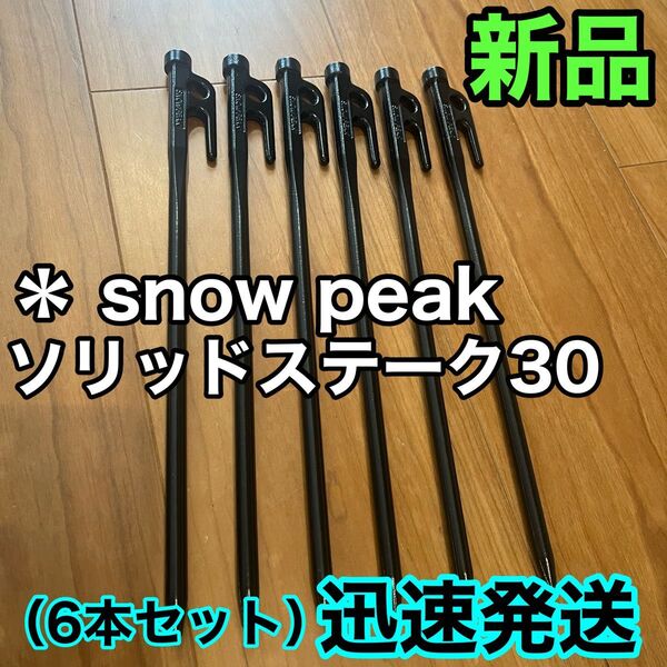 新品★スノーピーク(snow peak) ペグ 6本セット ソリッドステーク 30 R-103 鋳造ペグ キャンプ テント設営